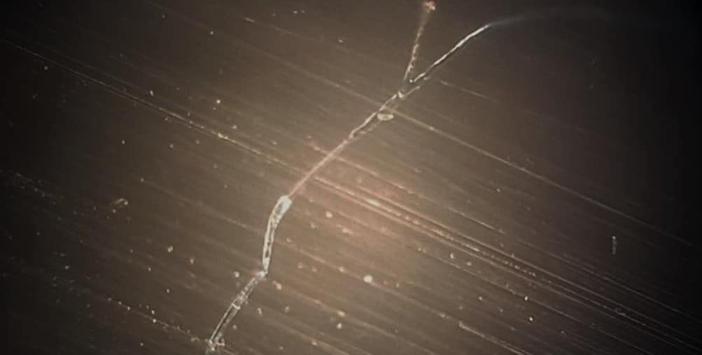 Microscope View of a Crack