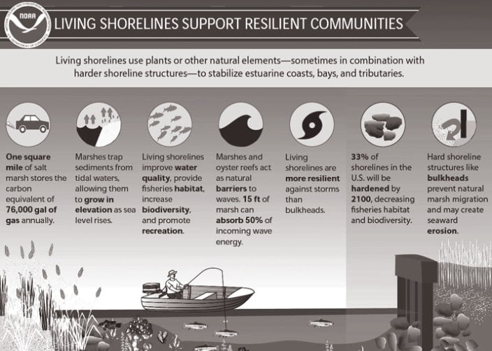 Shorelines Infographic