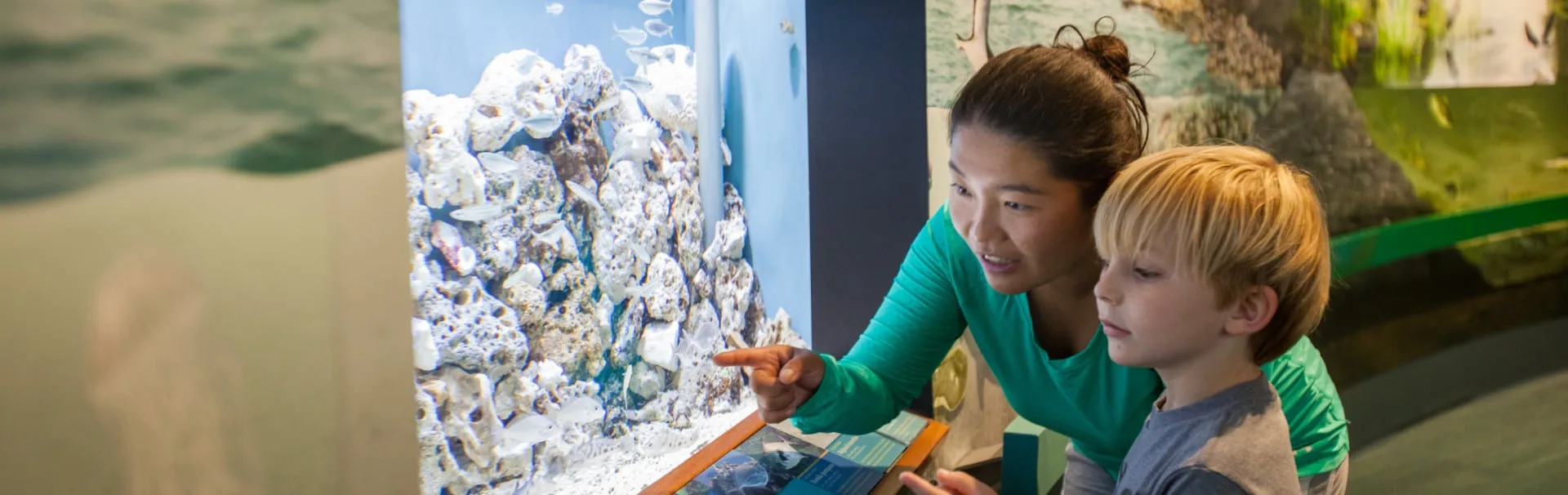 Learn about the Apalachicola National Estuarine Research Reserve