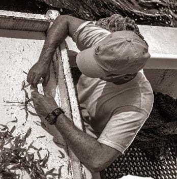 Trawling (pictured), along with nesting bird surveys and sea turtles monitoring, has long been a core part of the ANERR biological monitoring programs