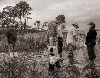 The Coastal Training Program became a part of the National Estuarine Research Reserve system in 2002 and implemented at the Apalachicola Reserve in 2004.