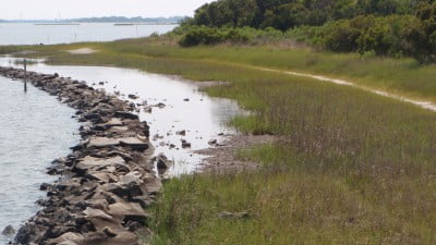 living shoreline