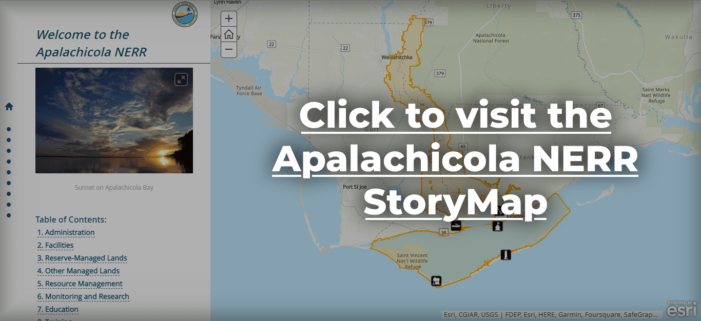 Link to Apalachicola NERR StoryMap