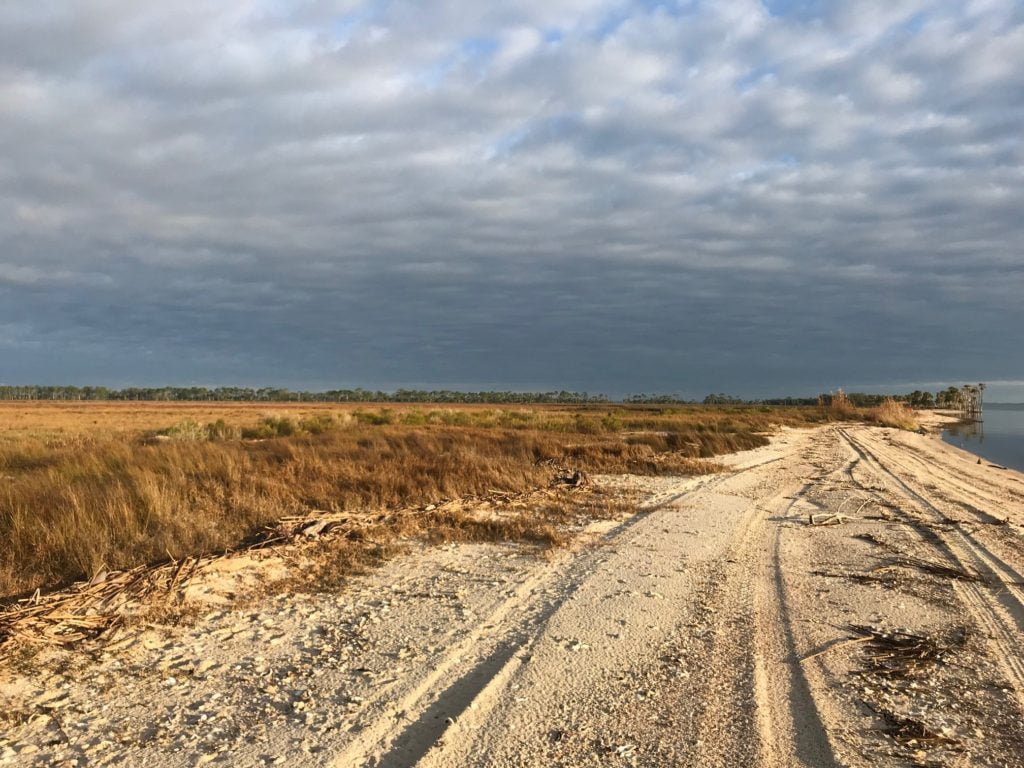 4. Habitat types. As part of the ground truthing Stewardship staff were lucky to visit St. Vincent Island and saw Tahiti Beach, beautiful marshes, and hammocks on the northeast side of the island.