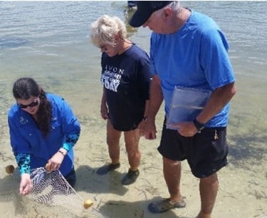 Living Shorelines for Homeowners