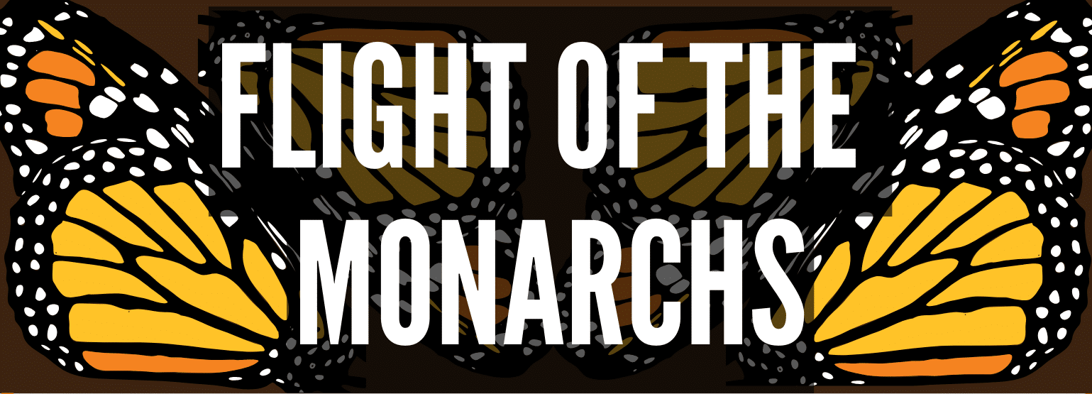 Flight of the Monarch (5)