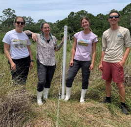 Research staff Sam Lucas, Kendra Treichel, Zanti Rains and Michael Palandri with a newly installed marsh pore water well, which will hold one of our upgraded level and salinity sensors.