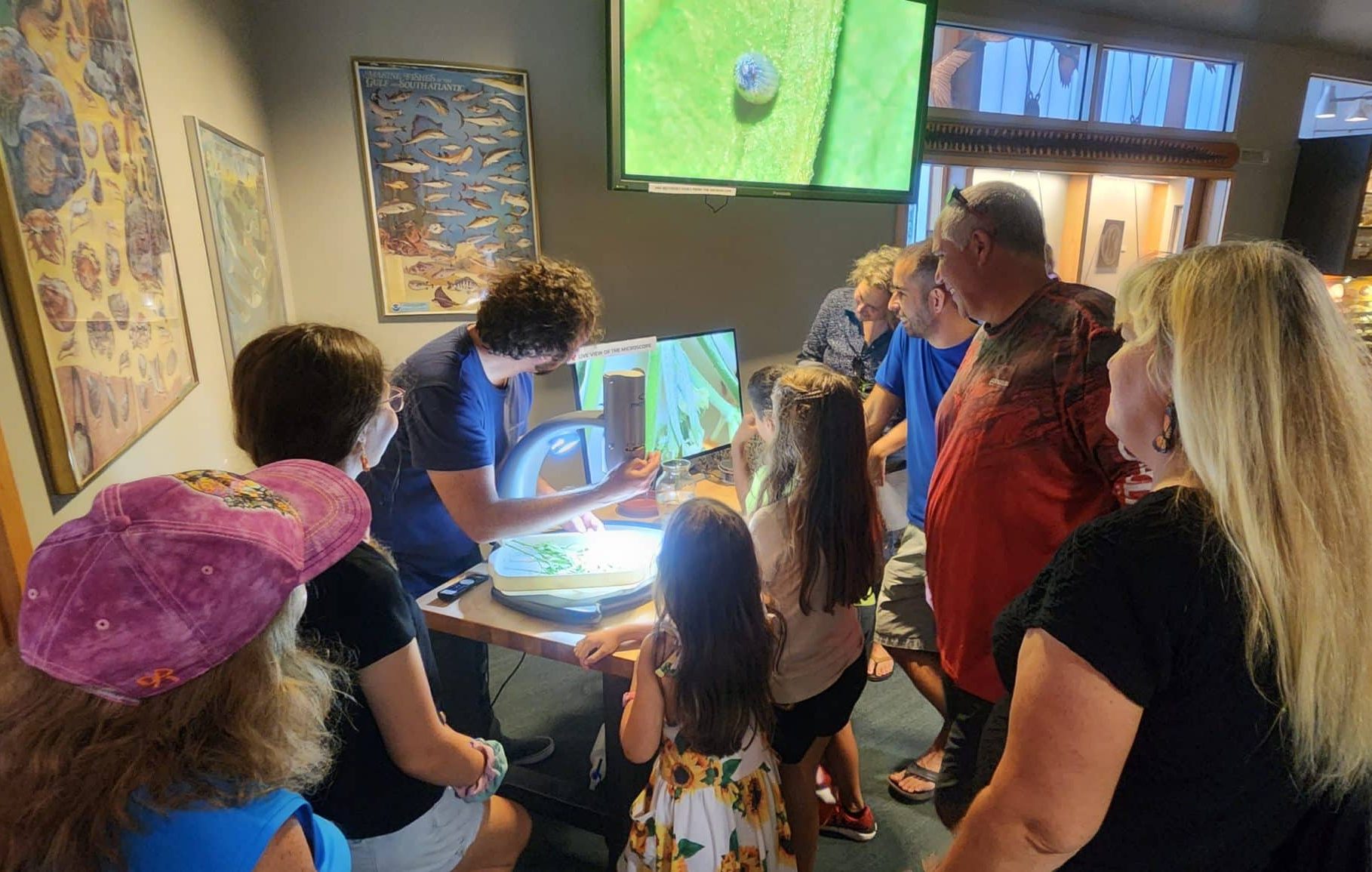 Visitors captivated by the monarch life cycle. Kennedy Hanson shows the crowd live monarch caterpillars at various stages under a microscope.