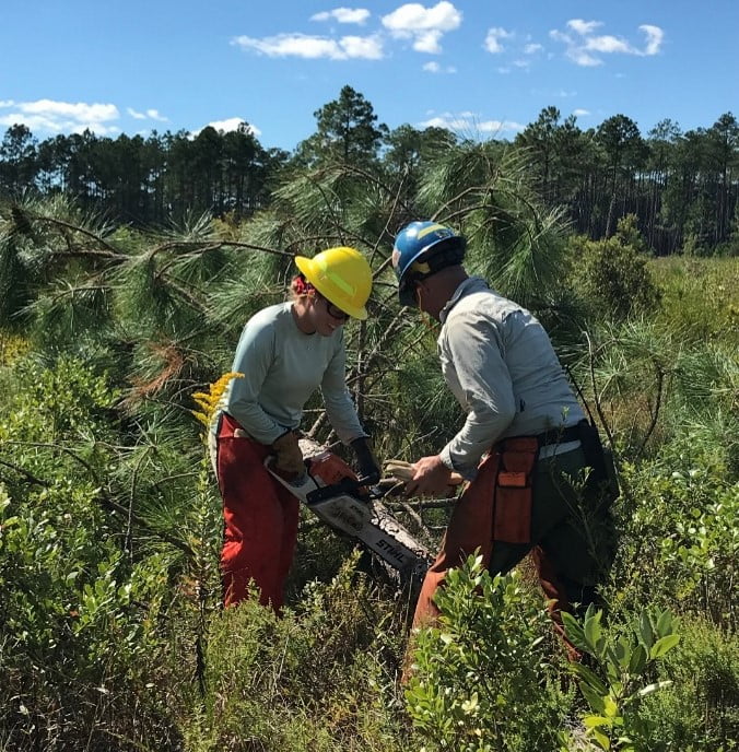 Rebekah Keller is instructed how to properly buck a tree during S-212 training.