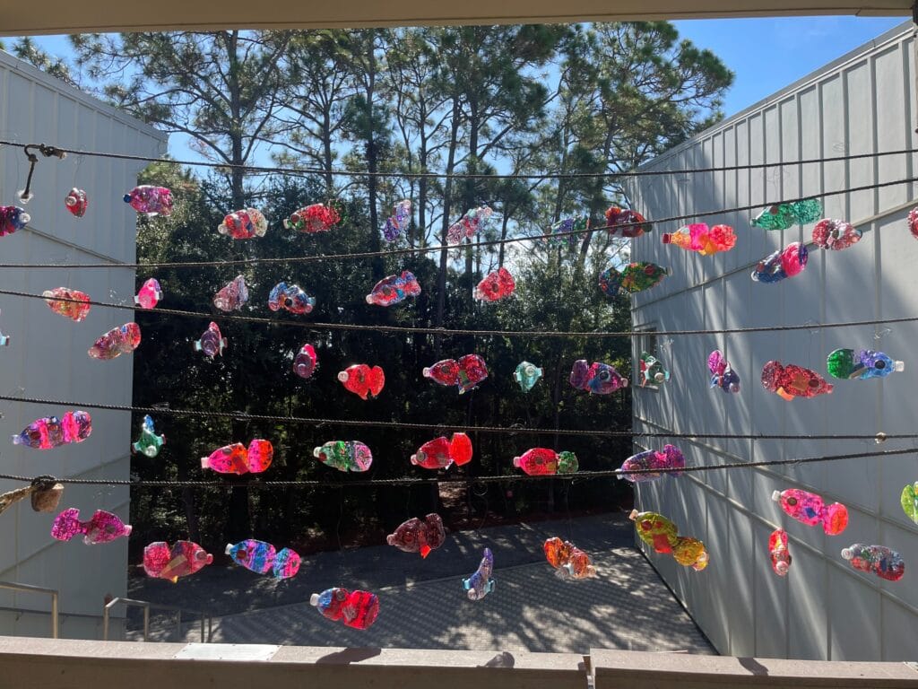 Fishy Water Bottle Art created by Franklin County School 3rd graders.