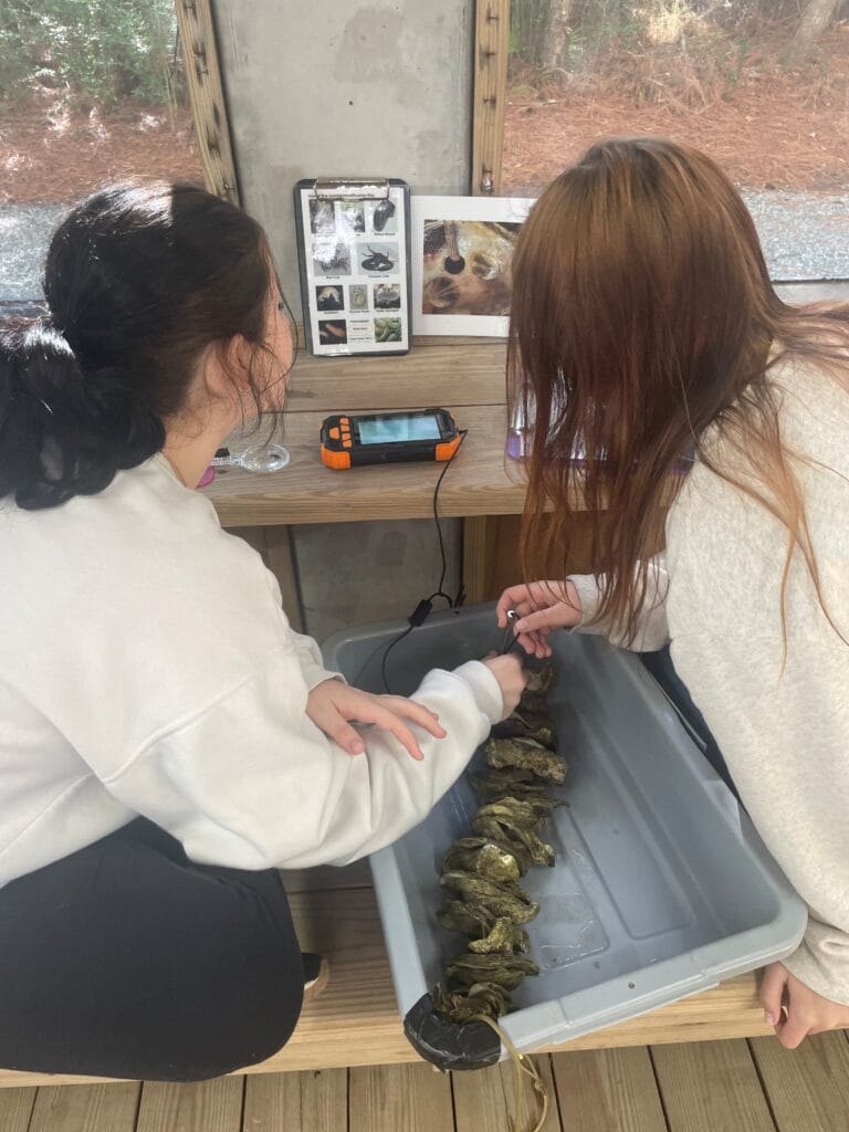 Students evaluating VOG.