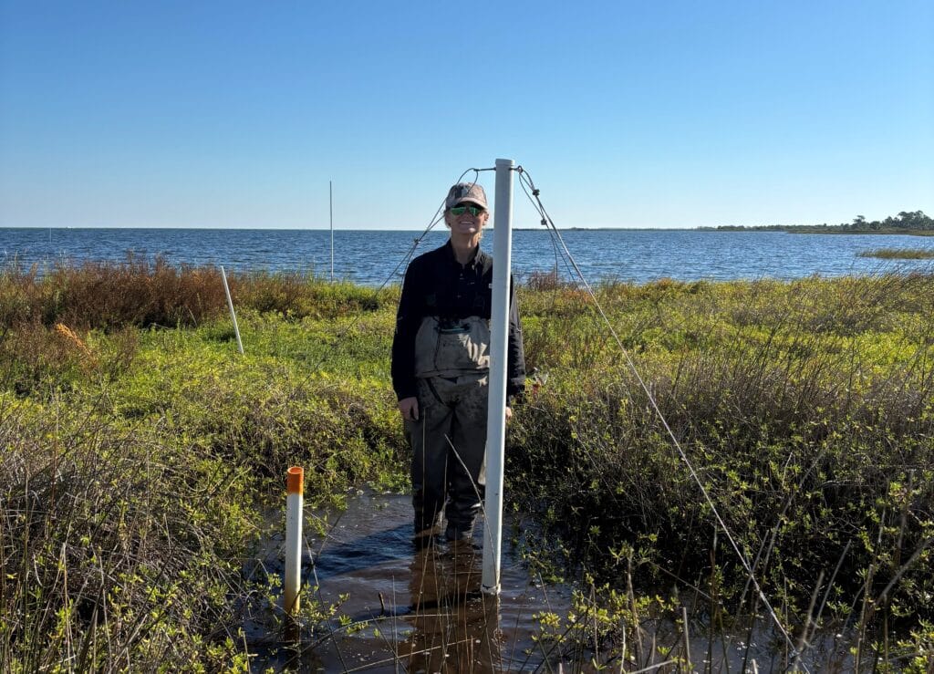 The Reserve Research staff Stephanie exchanges marsh porewater loggers along a transect.