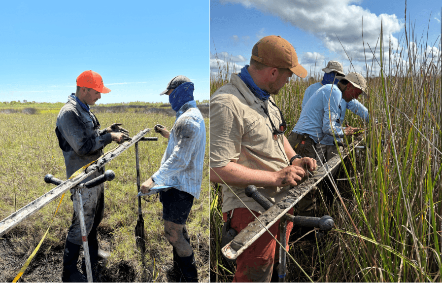 USDA soil scientists describe soil cores taken from tidal marsh sites.