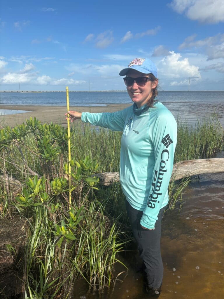 Stewardship staff member Zoe Cross measuring a red mangrove.