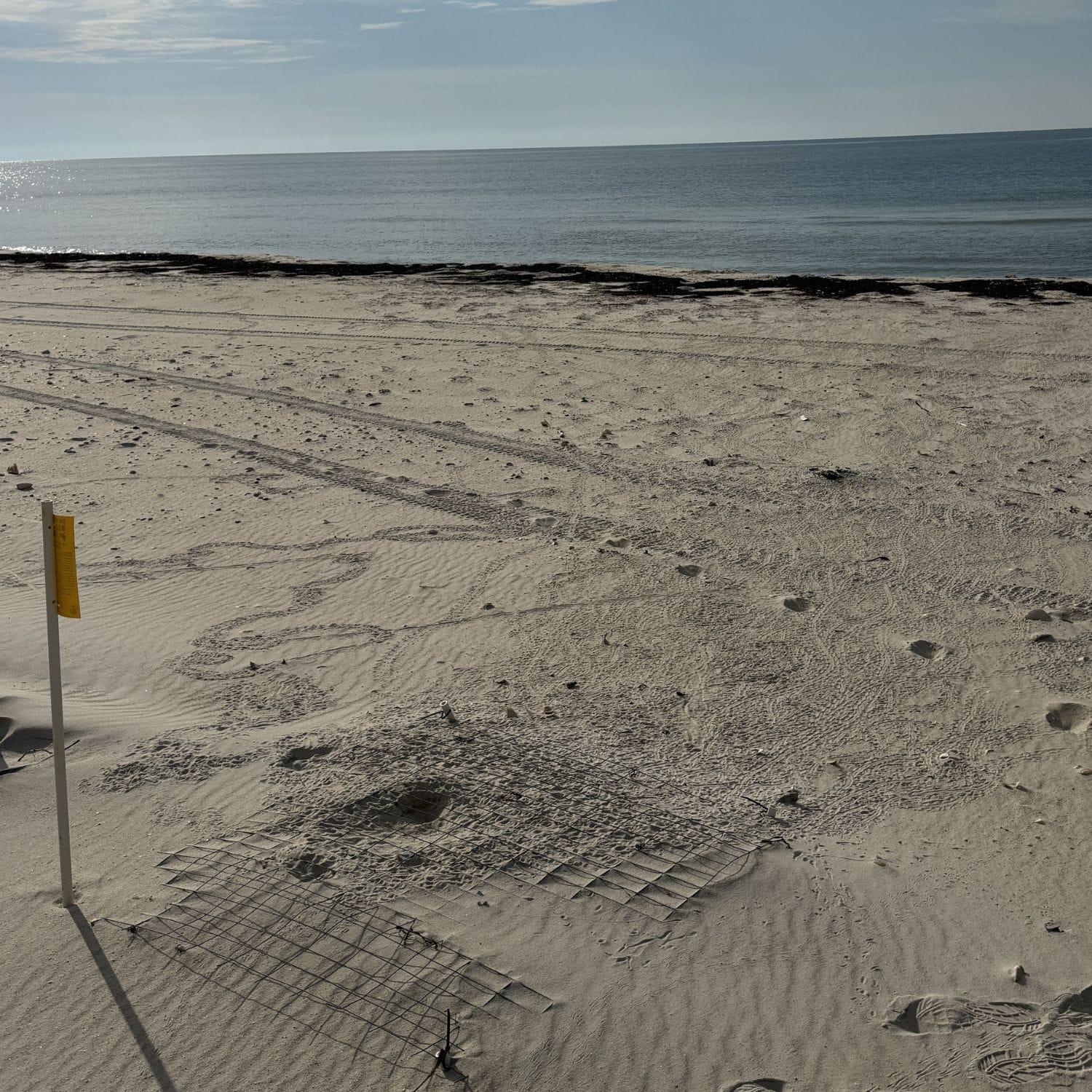 Turtle Nest on St. George Island